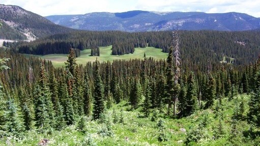 Forest Service ignores objections to land exchange at Wolf Creek Pass