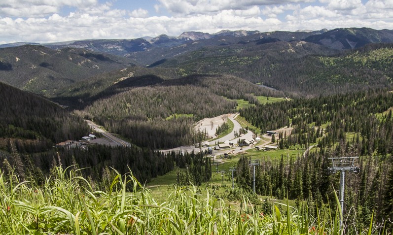 Court Orders Forest Service to Disclose Documents on Wolf Creek Pass Decision