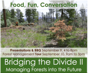 Bridging The Divide Poster