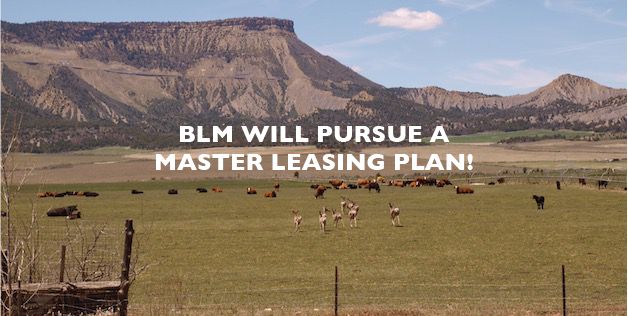 Bureau of Land Management Will Pursue a Master Leasing Plan