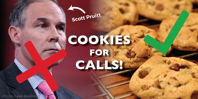 Image for Cookies for Calls: No Pruitt for EPA