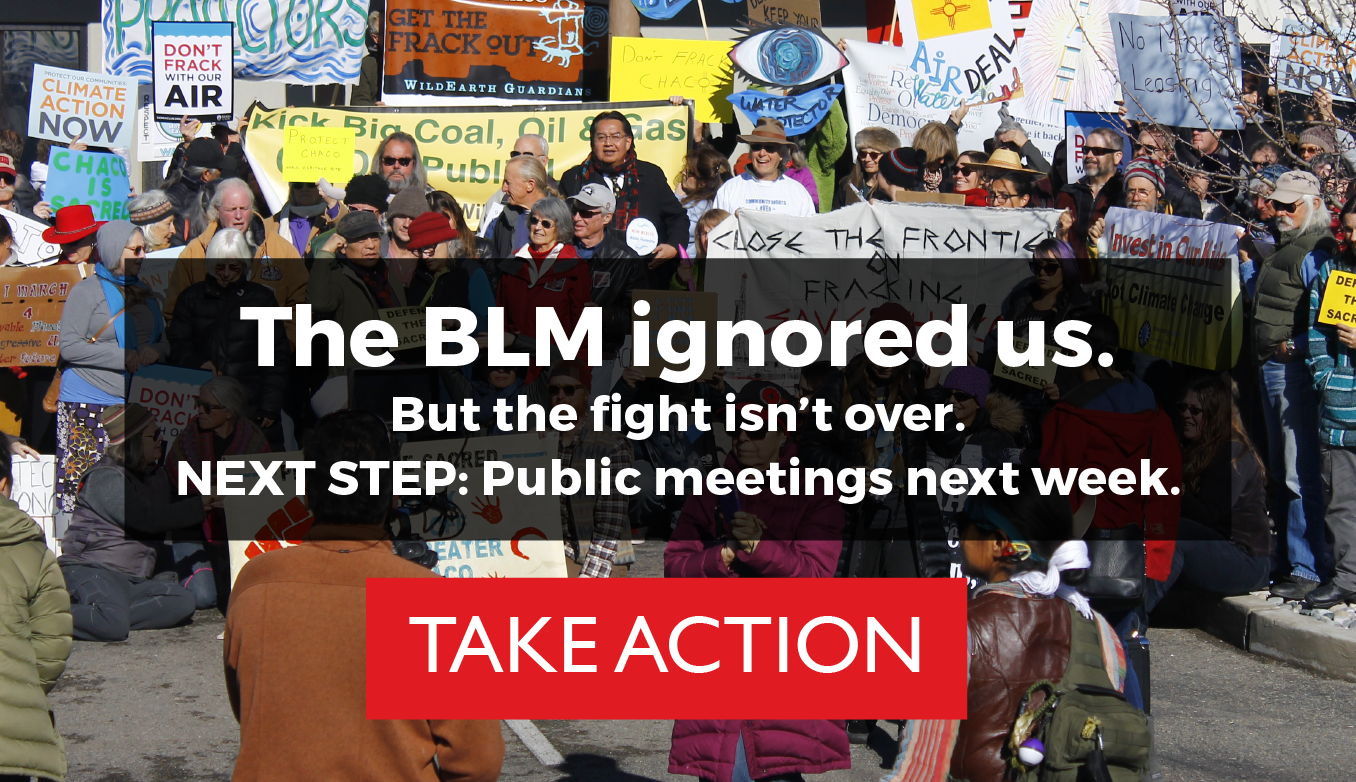 BLM Ignored Us Graphic