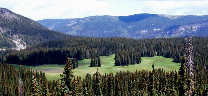 Picture of development location at Wolf Creek