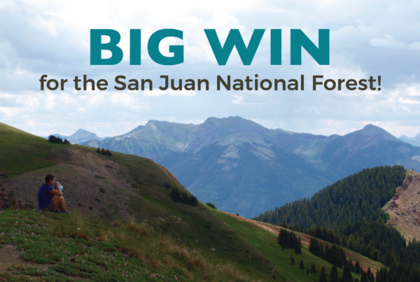 Big Win for San Juan National Forest