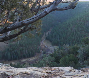 Photo of Naturita Canyon