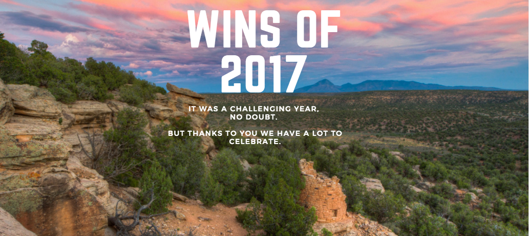 Wins of 2017!