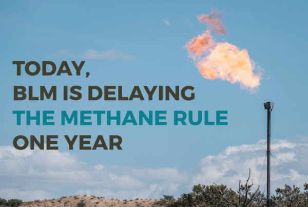 BLM Rule Delay