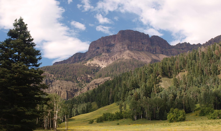 Photo of forests north of Durango