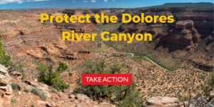 Protect the Dolores River Canyon