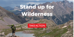 TAKE ACTION: Stand up for Wilderness