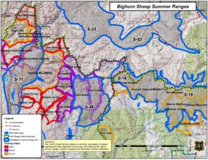 bighorn sheep map