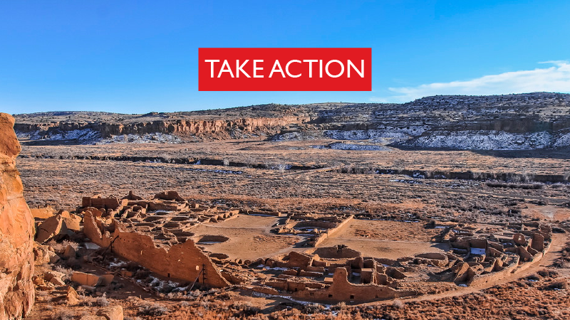 Take Action to Defend Chaco – Ask BLM to Act Humanely