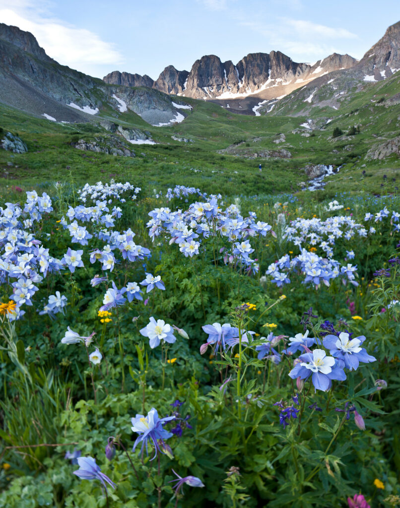 Handies Peak by Bob Wick BLM