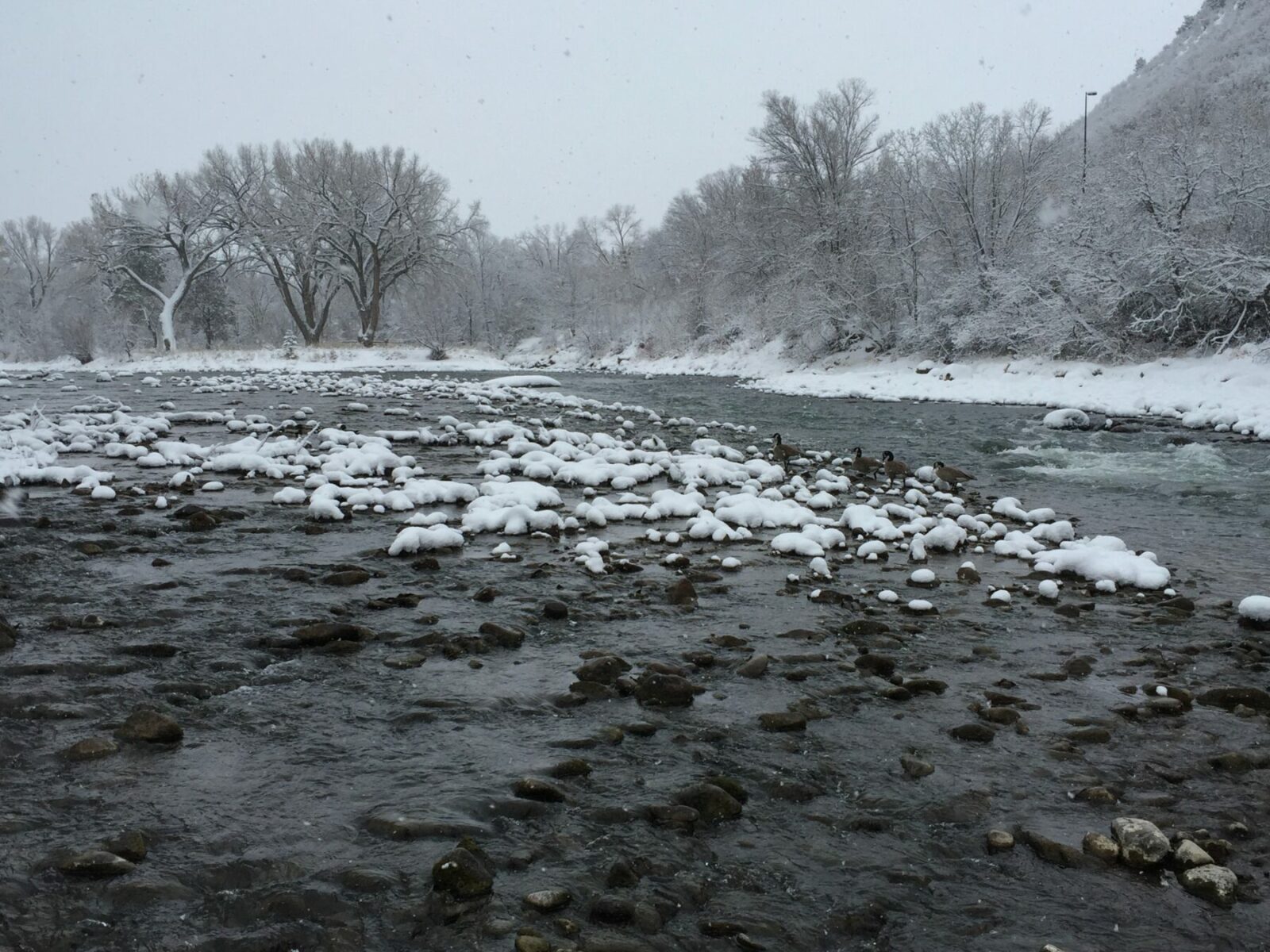 Take Action: Support Strong Protections for Colorado Rivers
