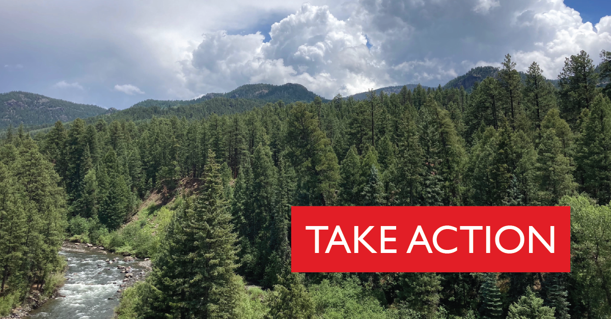 Take Action: Protect Wild Places in the San Juan Mountains