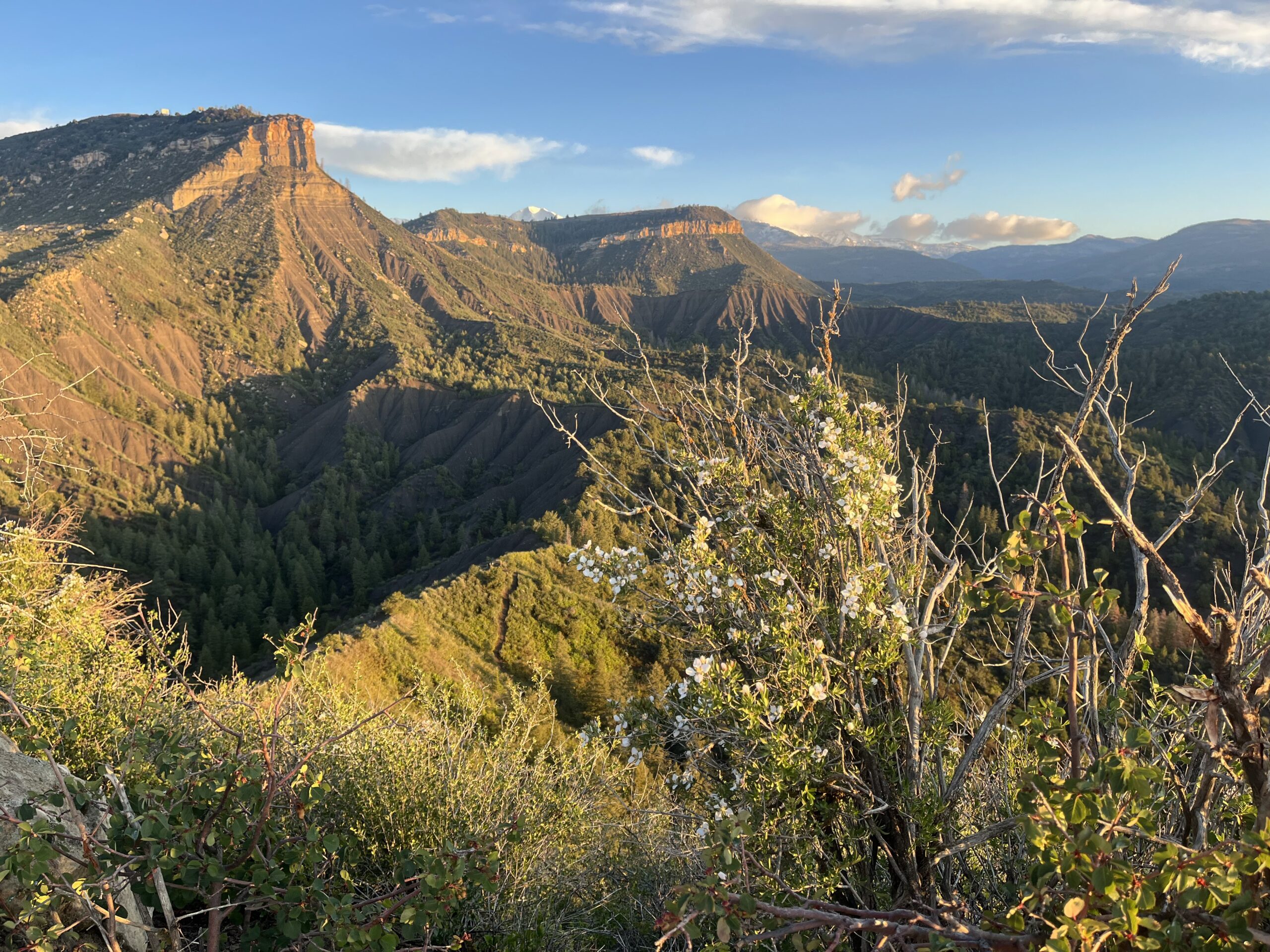 Take Action: Raise Your Voice to Fight Climate Change in Durango