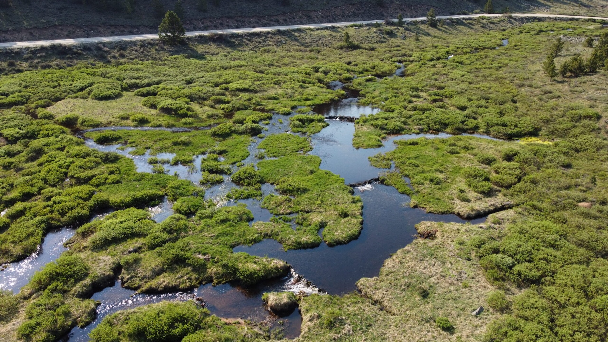 Petition: Protect Colorado’s Wetlands
